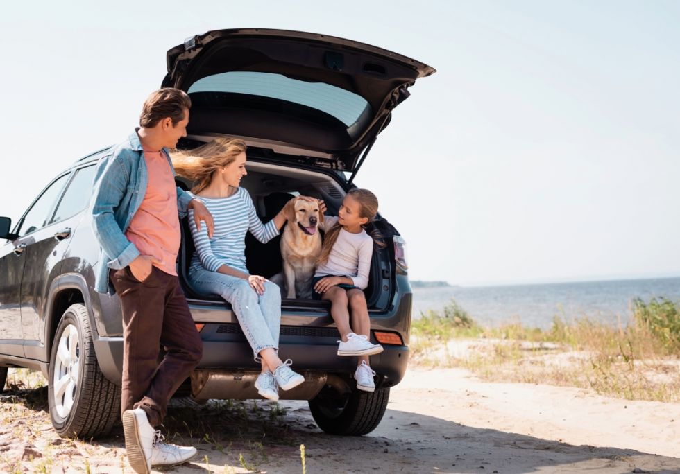 PCP or PCH: Which is best for you?